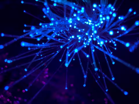 VPS moderniza su flota de equipos para faenas mineras